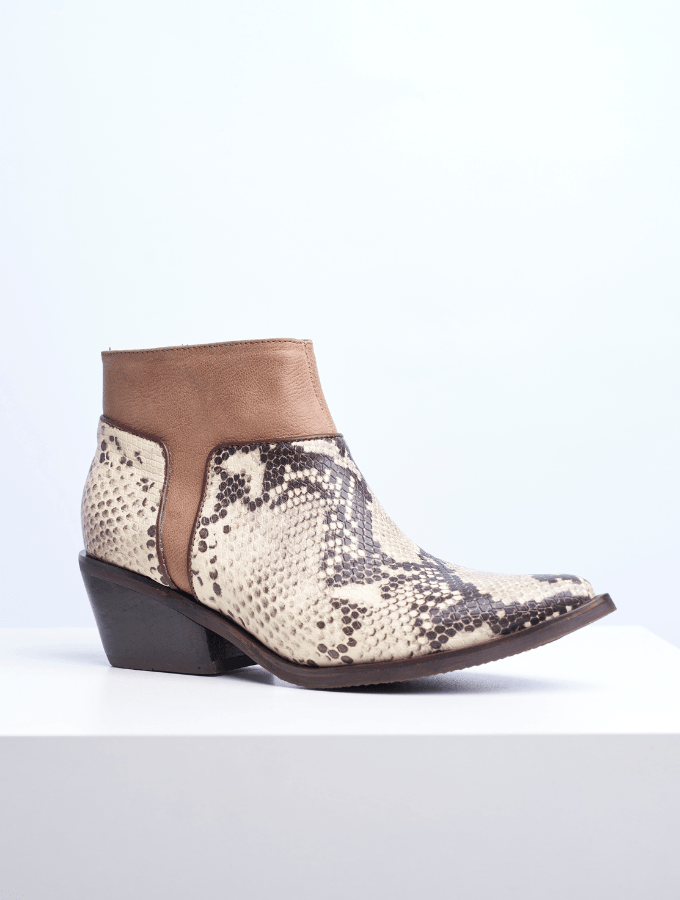 Bota Delfi