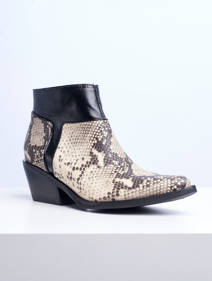 Bota Delfi