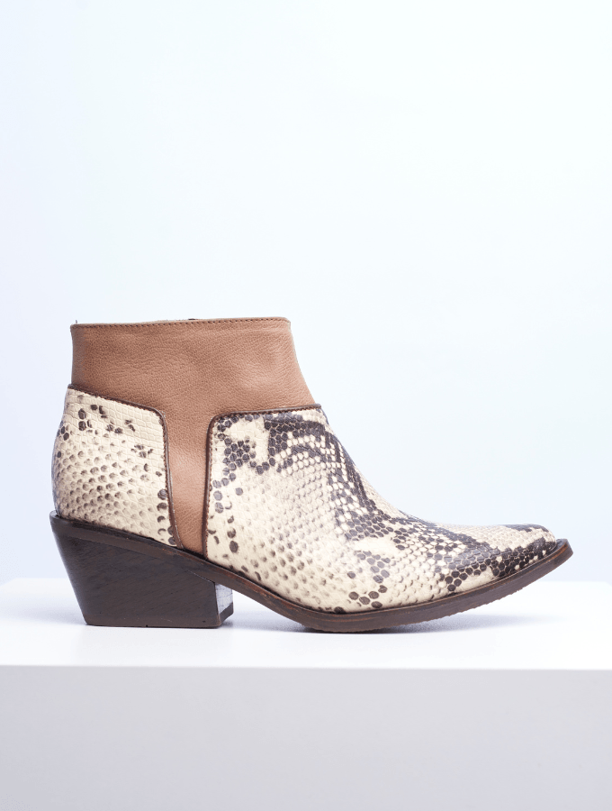 Bota Delfi
