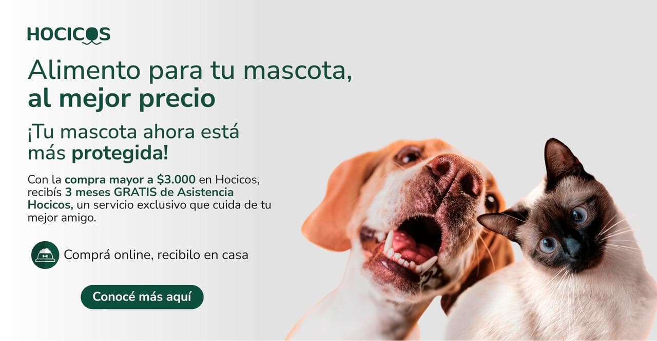 Asistencia Hocicos
