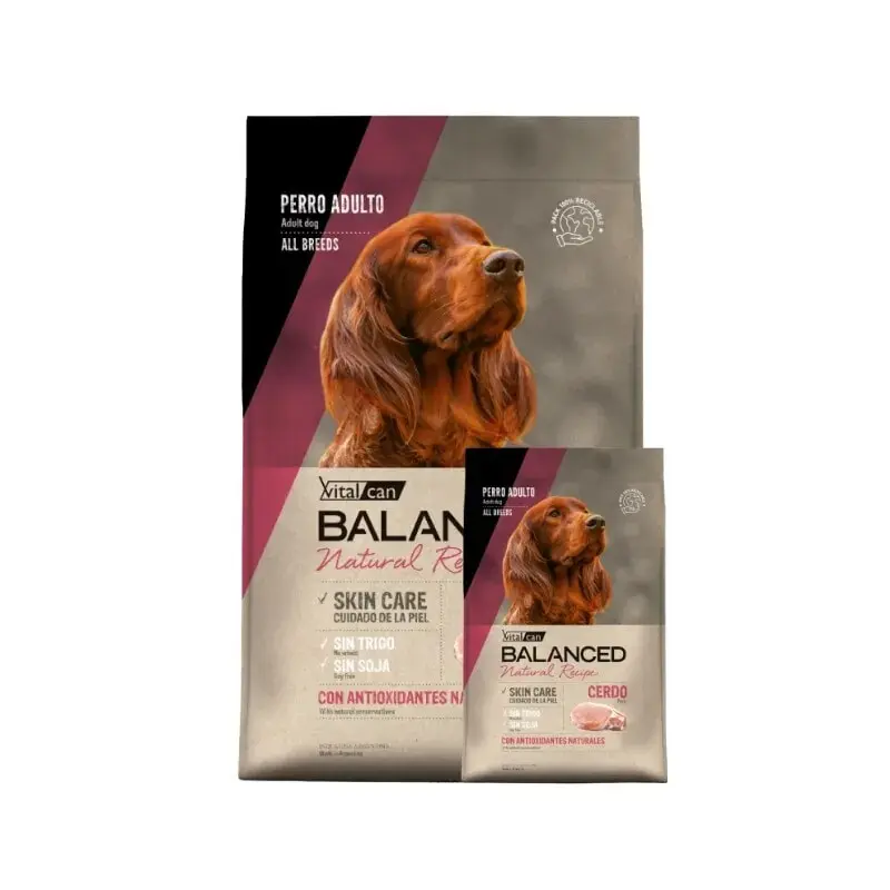 VitalCan Balanced Natural Recipe Cerdo
