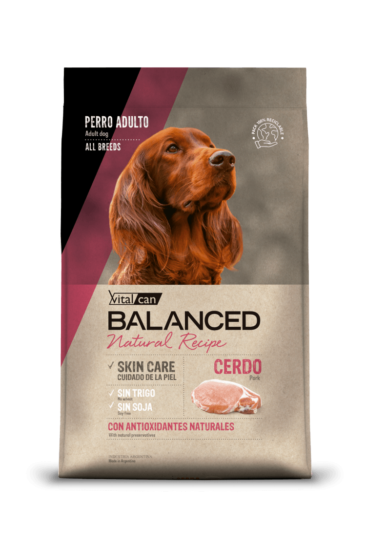 VitalCan Balanced Natural Recipe Cerdo