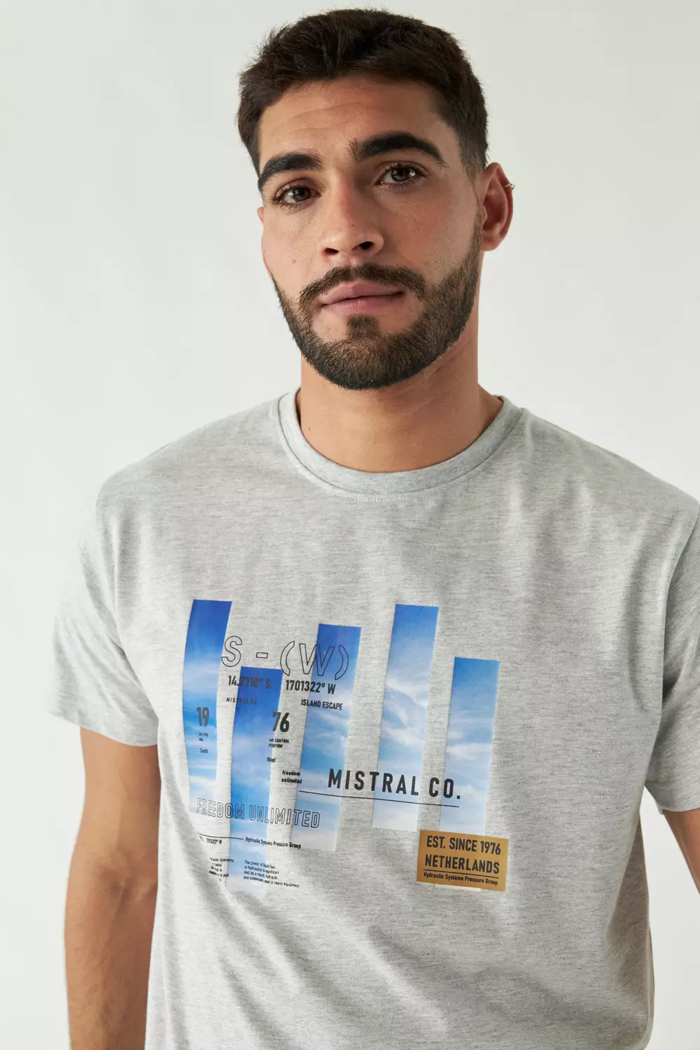 REMERA ANTIQUE